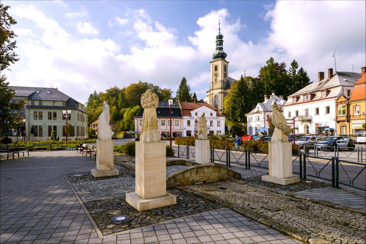 Apartman - Dum Ceskeho Svycarska Красна-Липа Экстерьер фото